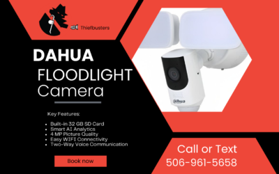 DAHUA Floodlight Network Camera
