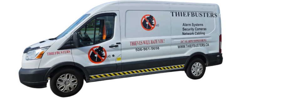 Thiefbusters photo 5