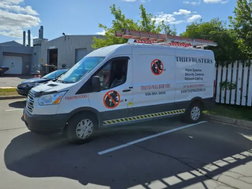 Thief Busters